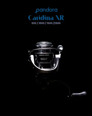 Pandora Caridina XR 2500 Makine