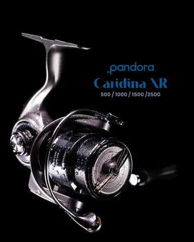 Pandora Caridina XR 2500 Makine